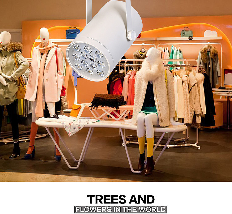 Đèn Led Rọi Ray 12W Mắt Trâu Siêu Sáng