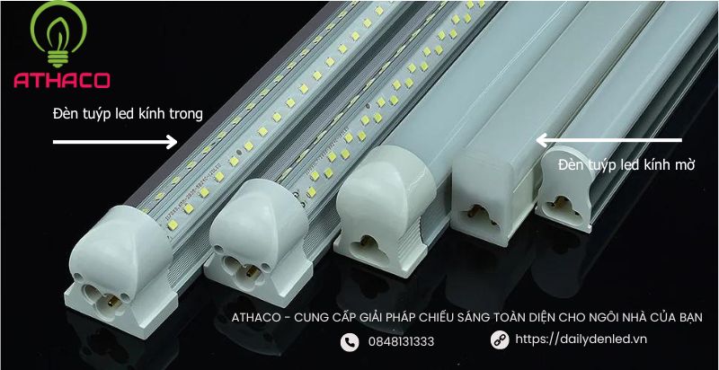 đèn tuýp led kính trong, kính mờ