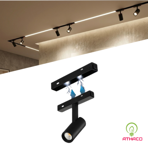 denraynamcham spotlight athaco