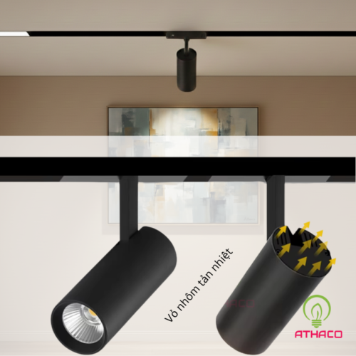 denraynamcham spotlight athaco1